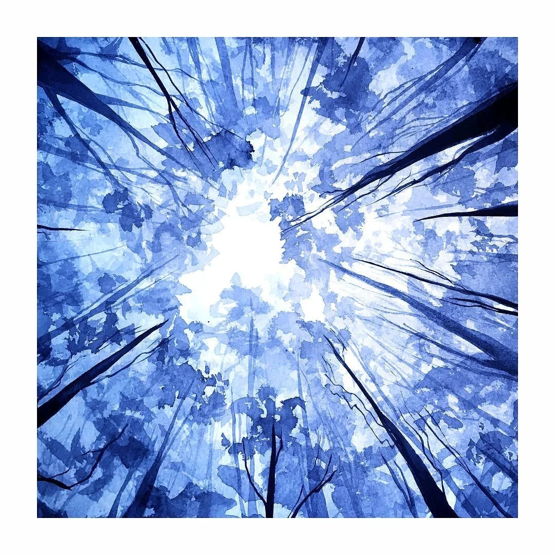 Winter winter still upon us. High time for some budding flowers, and buzzing bees, am I right?