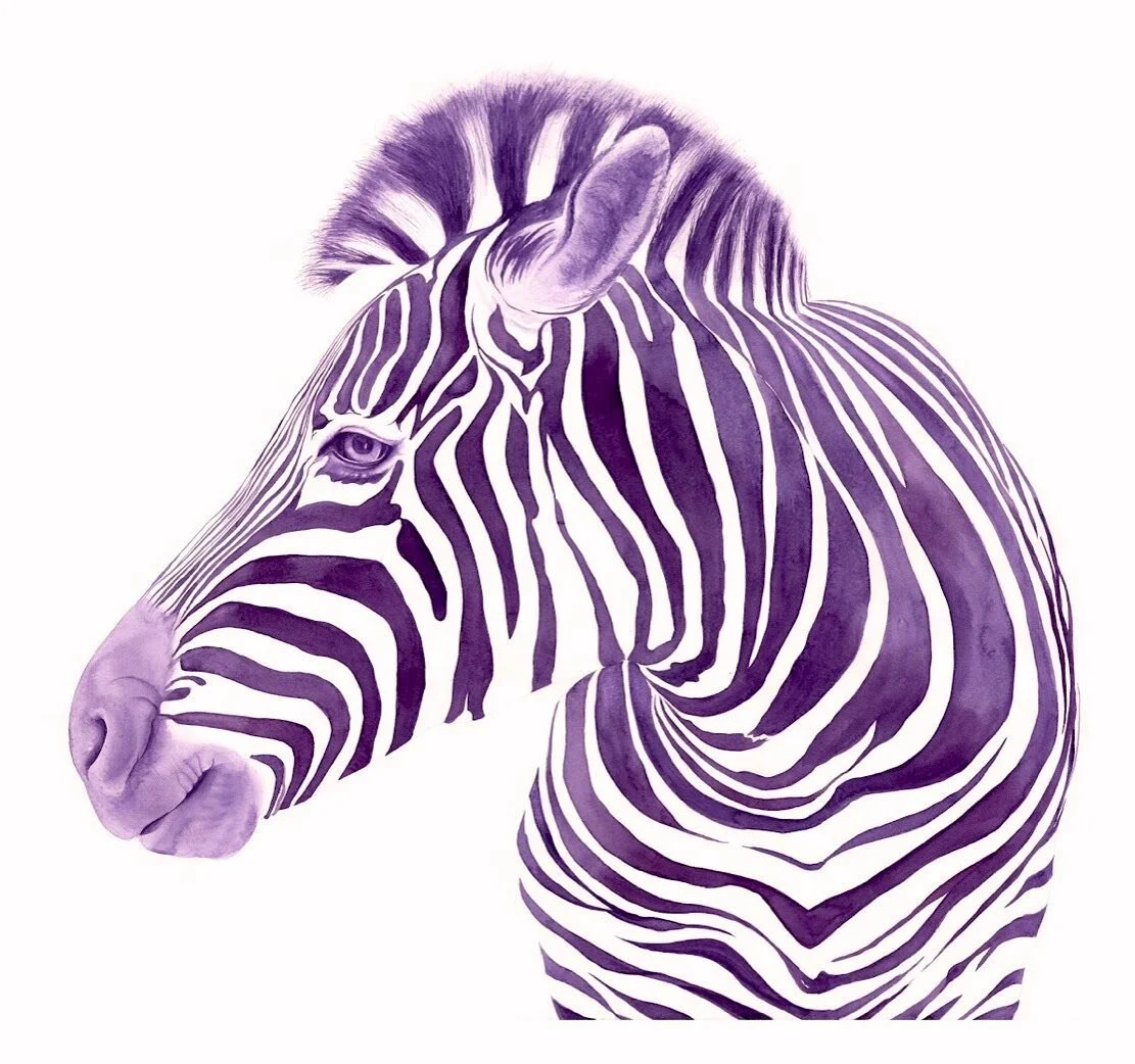 Happy birthday to the lady who looks at this guy all day on zoom calls, @zayface. You&rsquo;re a horse of a different color.