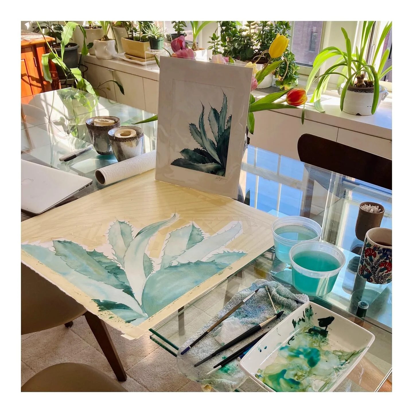 Good news - a client wanted to buy my Agave. Tricky news - they wanted a big original, not the tiny print I had available from the painting I made four years ago. So, time for a new one! It became an opportunity, a test, to see how I would tackle an 