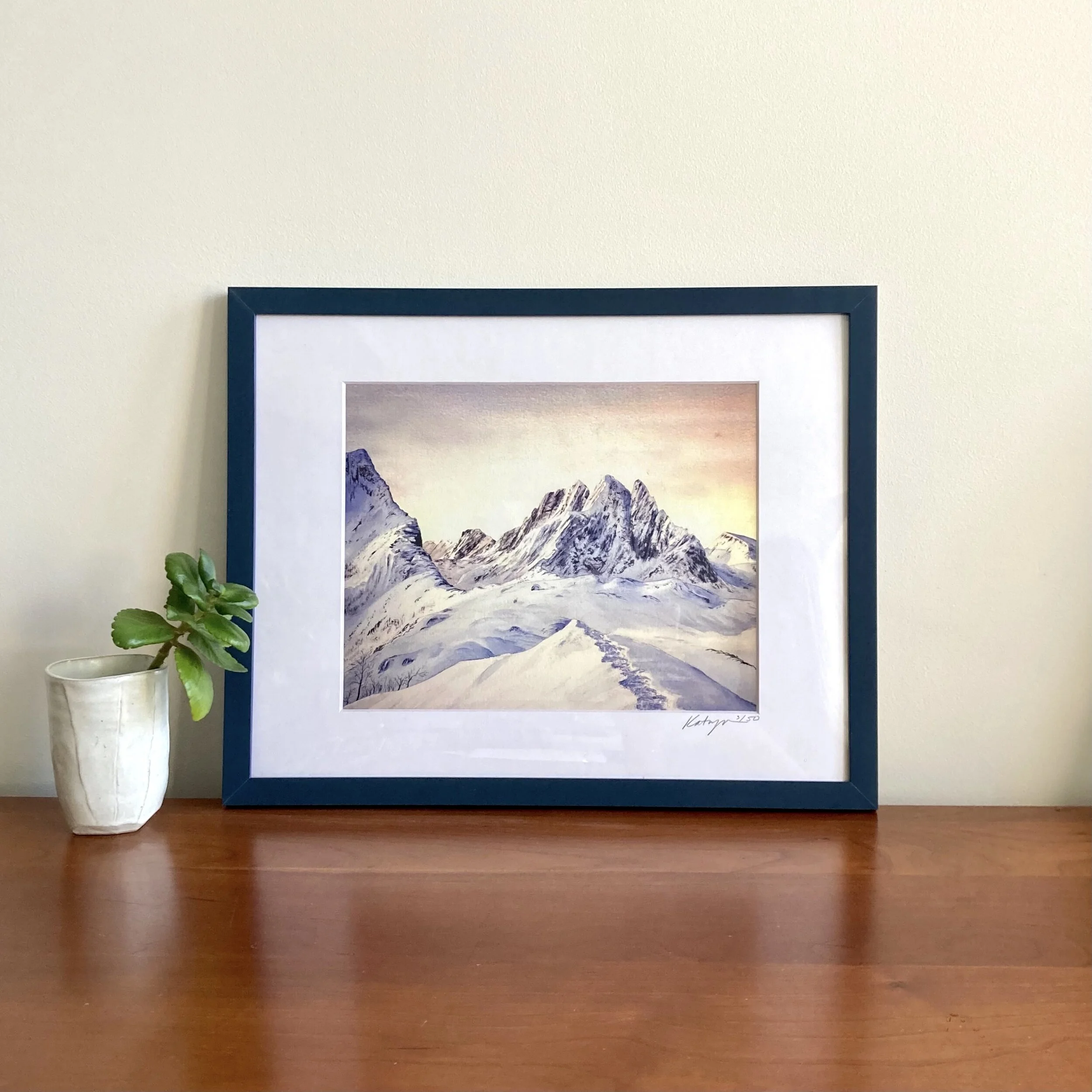 Alps Breedlove - Framed up.jpeg
