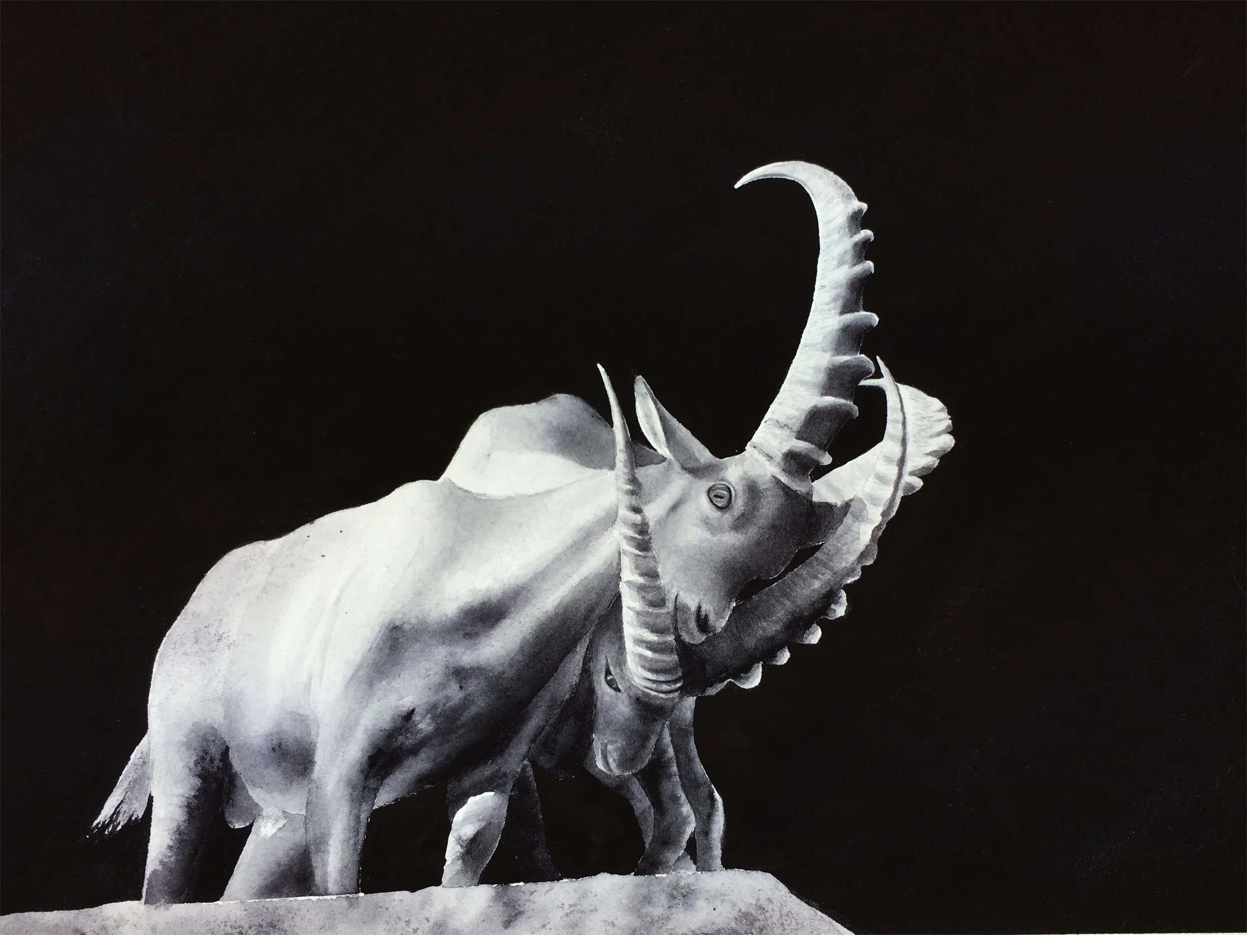 Animal - Horned - Duel .jpg