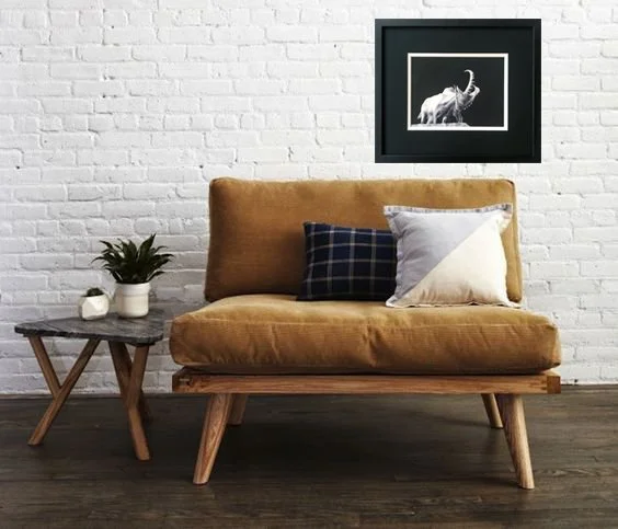 Dueling rams in room .jpg