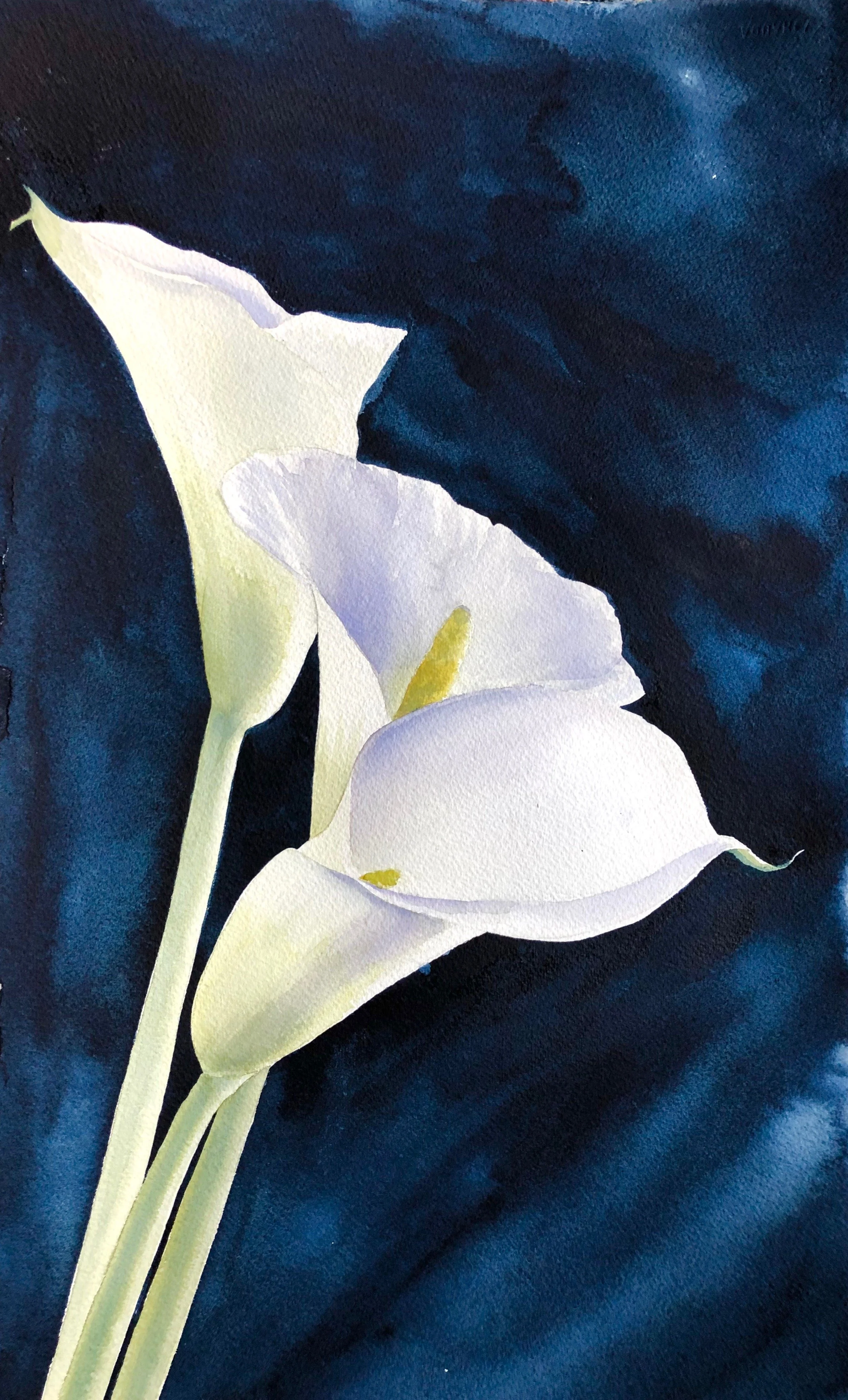 Bot - Lynn Calla Lilly.jpeg