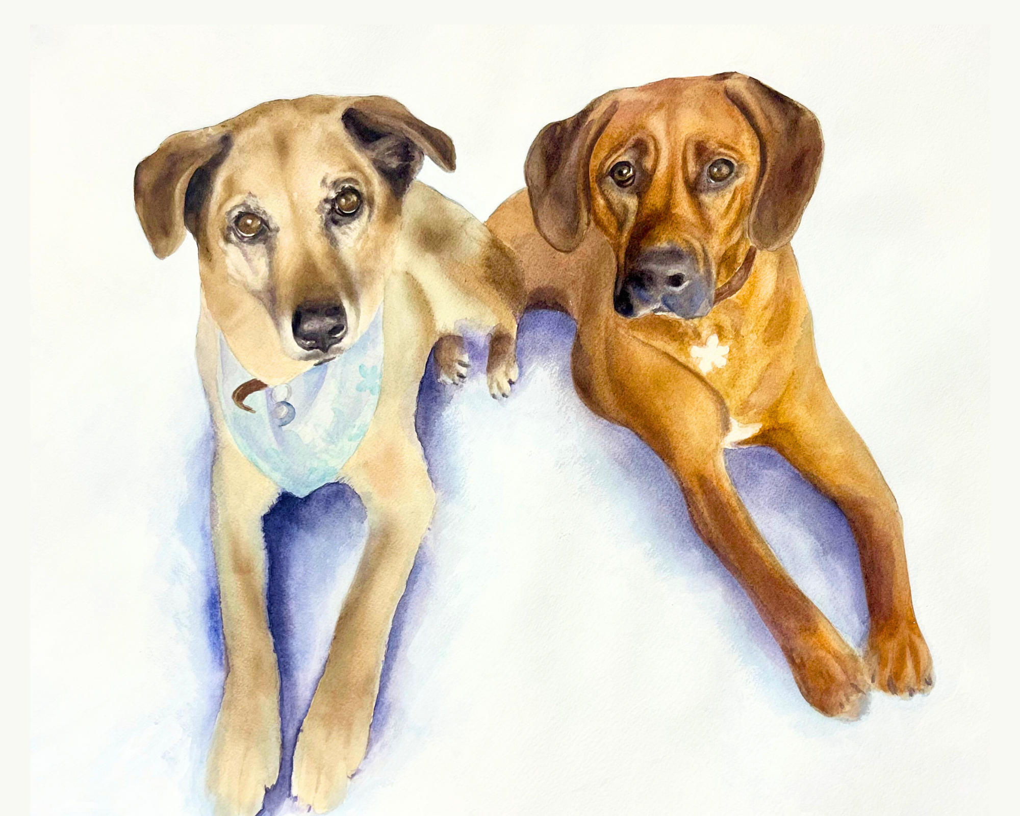 Dog - Ava & Sadie (Baron).png