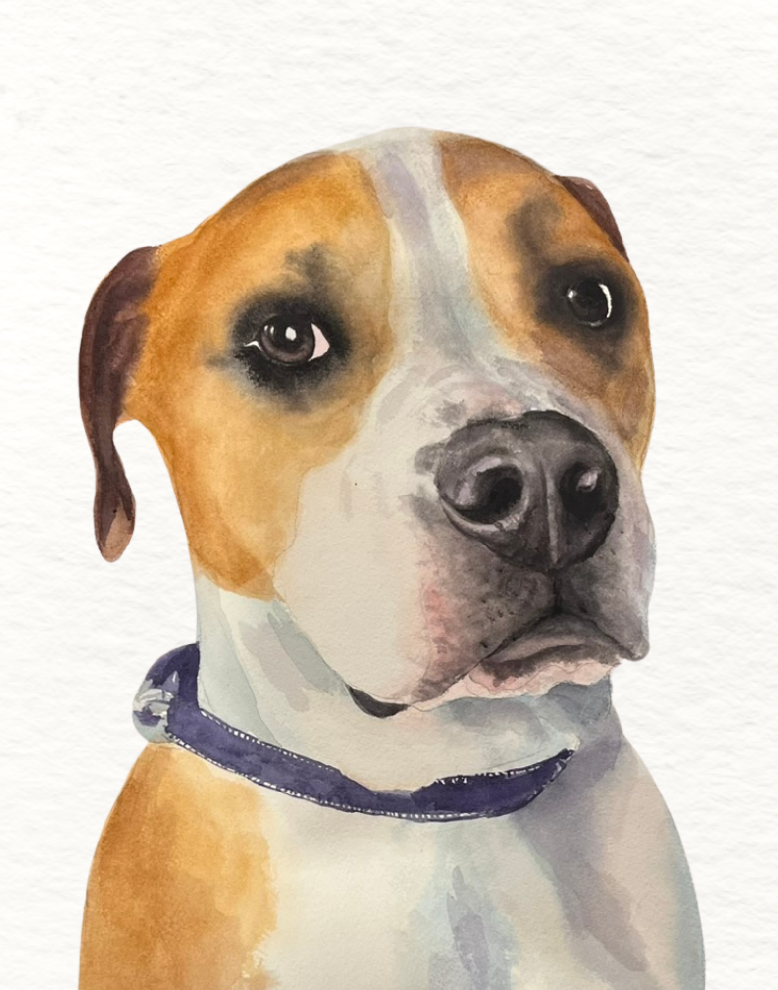 Dog - Swift (LIsa Heaven).png