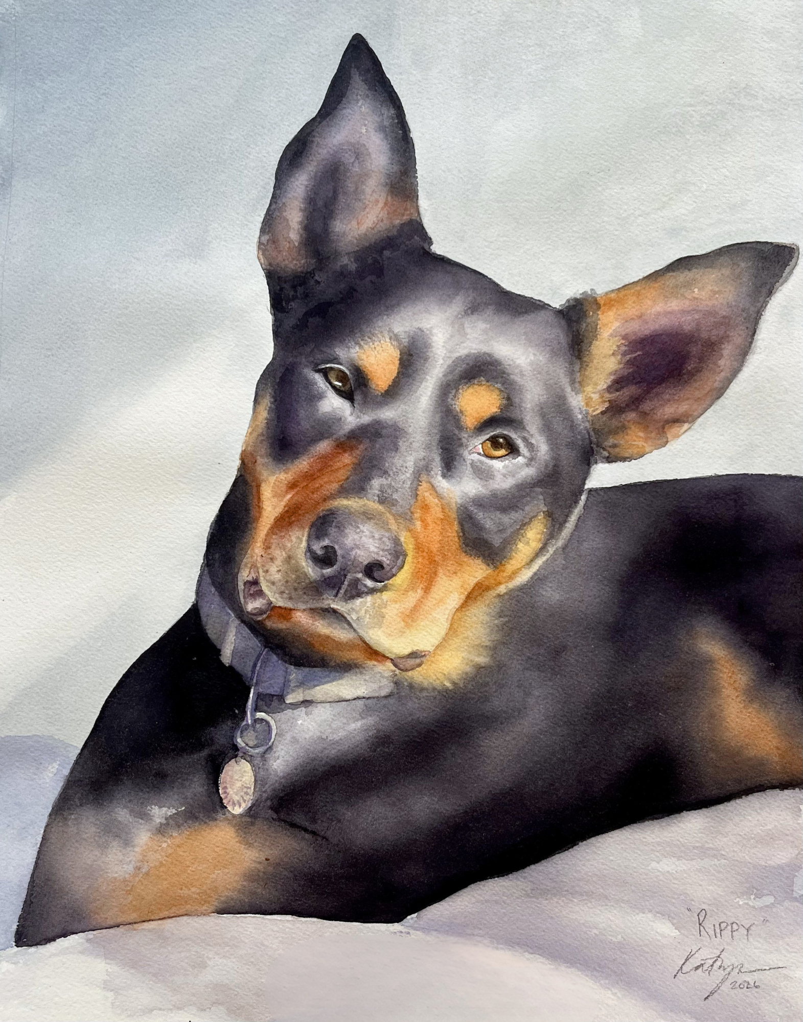 Dog - Rippy (Holly, Paddington).png