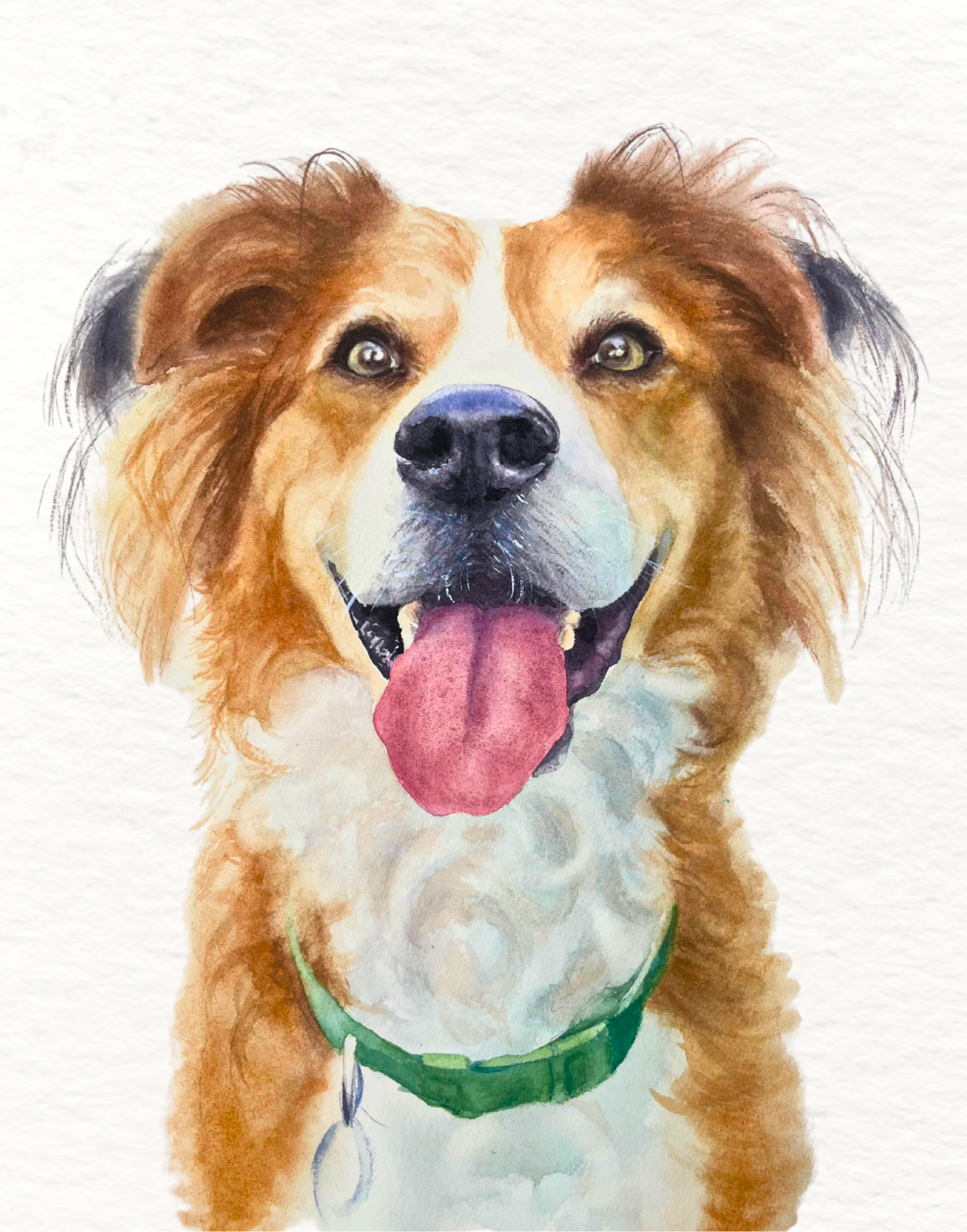 Dog - Remy (J Reckhow for Franke).png