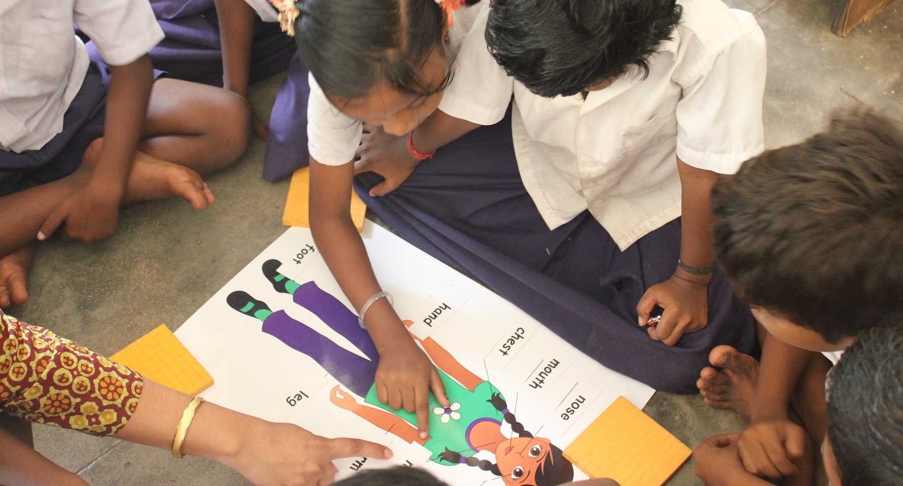 Poster activity - name the body part
