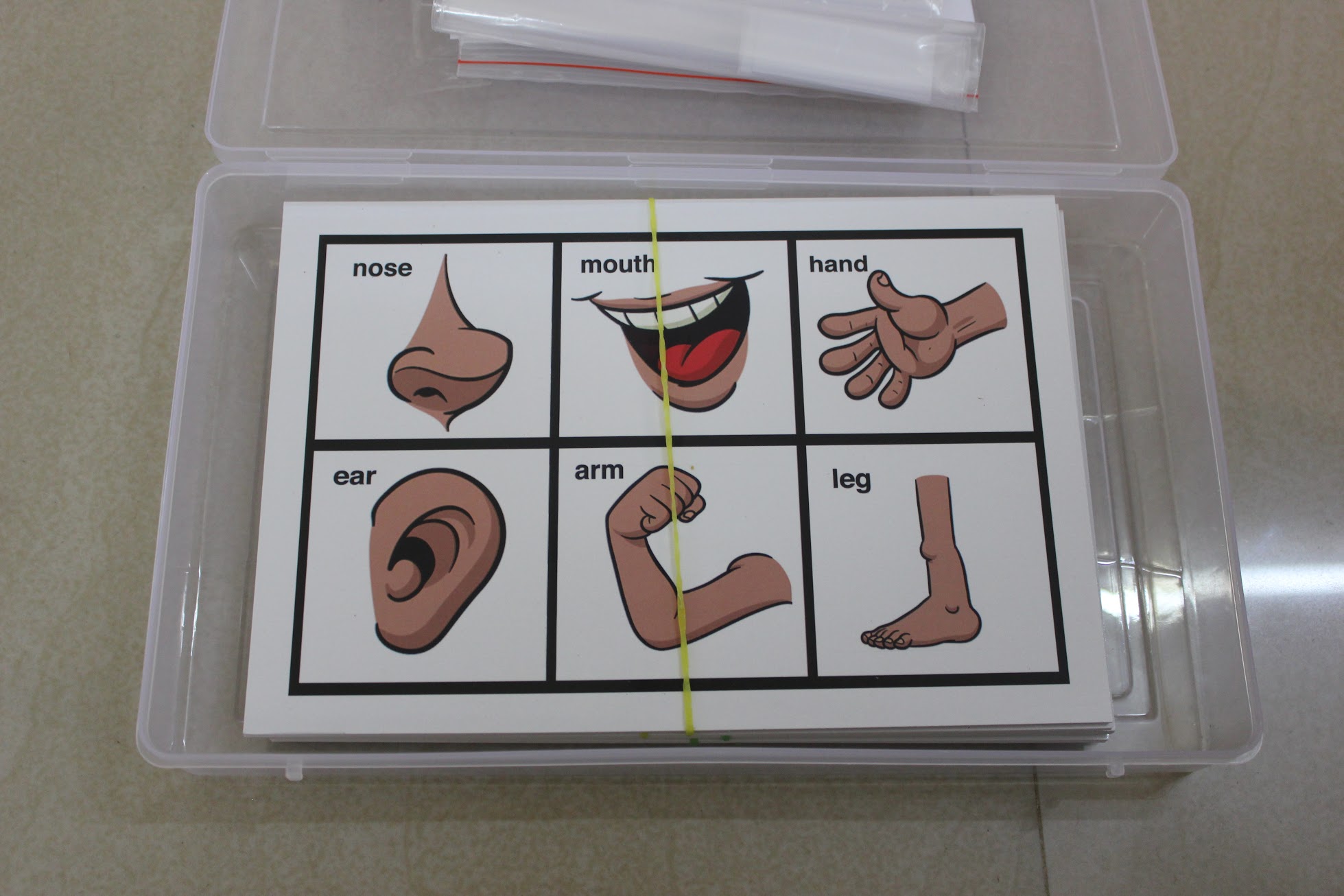 Body parts bingo for building vocabulary