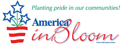 AIB_CMYK-page-001 copy 4.jpg