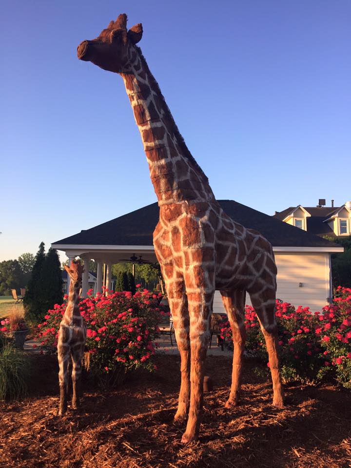 Gertie and Gidget, Mama &amp; Baby Giraffes
