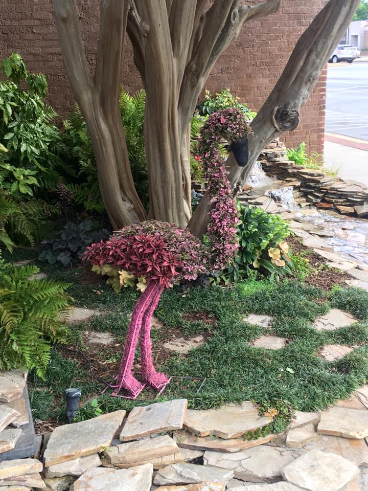 Flora, the Flamingo