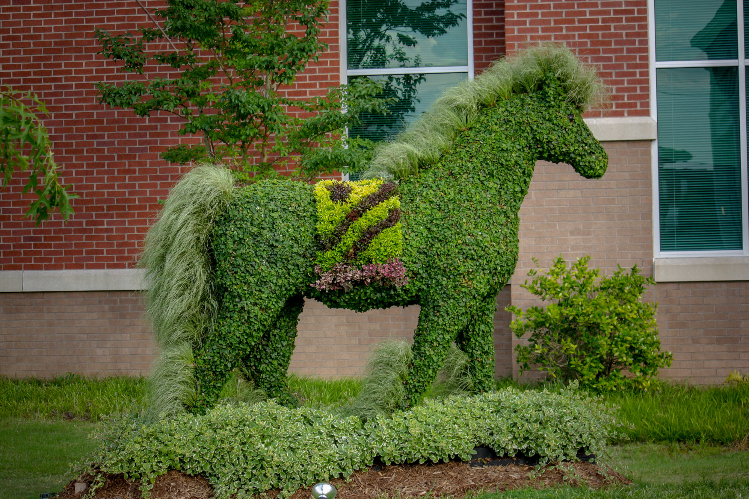 Baron, the Stately Horse