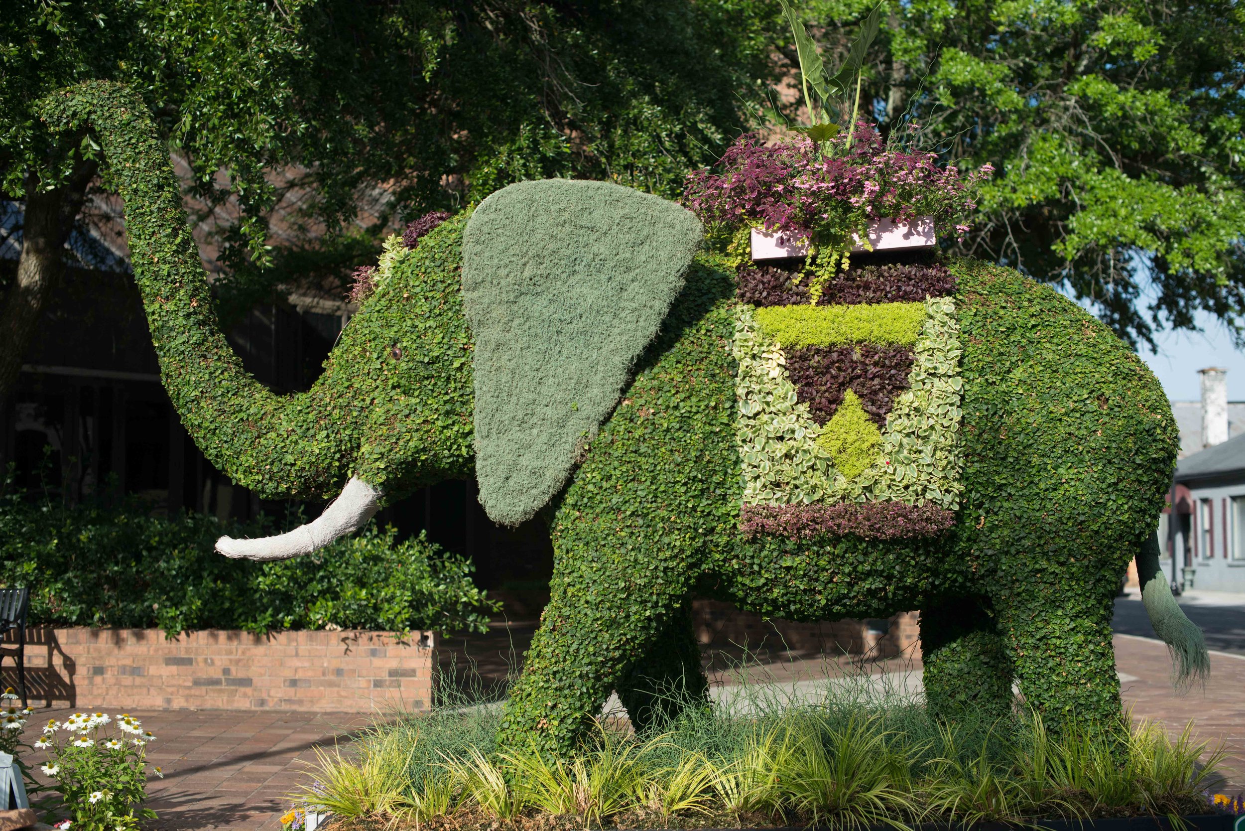 Signature Topiary Display & Map