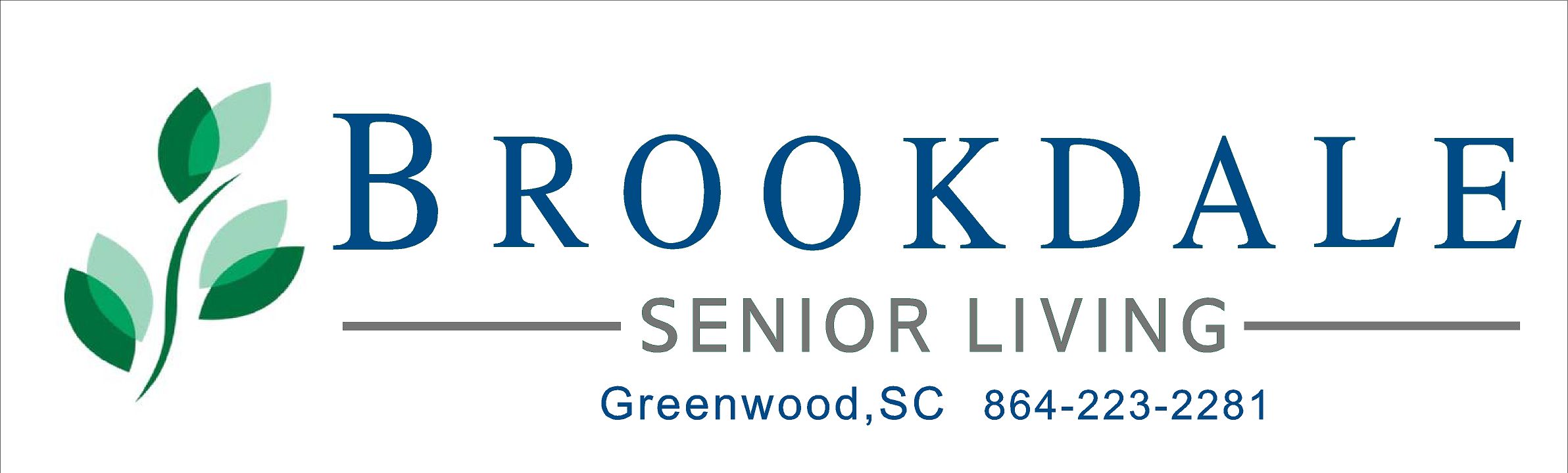 Partner - Brookdale BIG Logo.jpg