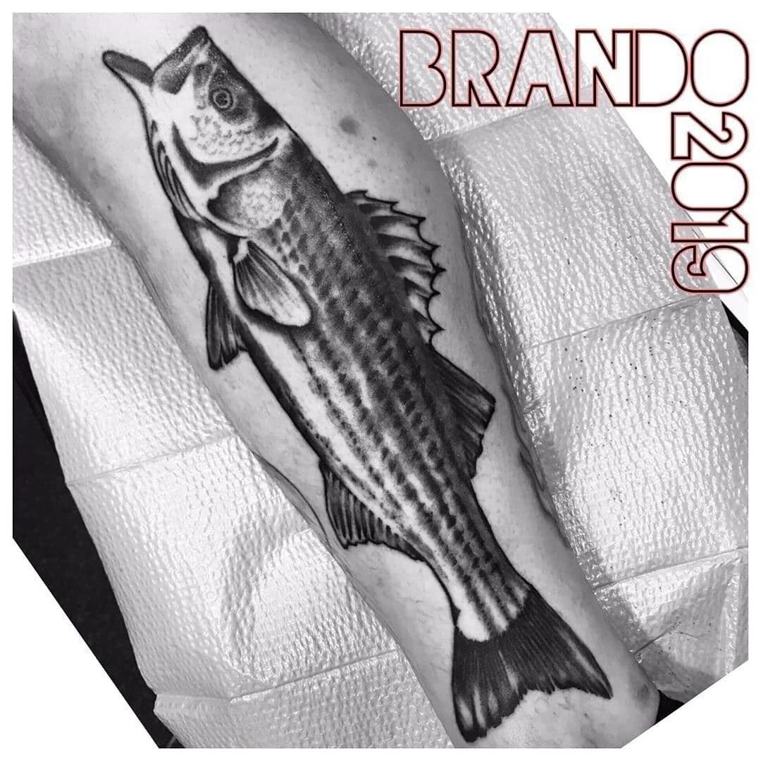 Tattoo by Brando. Striped bass, anyone? Leave it to fisherman Brando to do right by this piece!
.
.
.
#stripedbass #fishtattoo #brandonclingan #thestudiocustomtattoos #rosevilleartist #rosevilletattoo #gonefishing #fishermantattoo #iheartfishing #bas