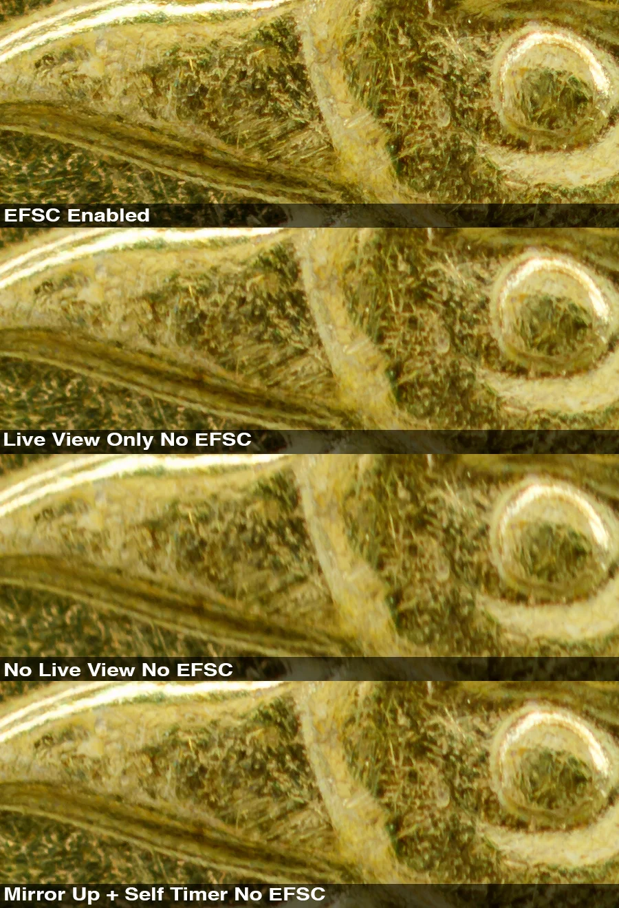Electronic First Shutter Curtain — Robert OToole Photography