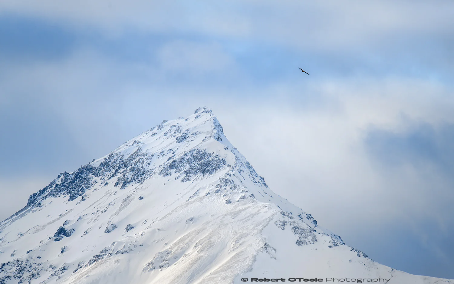 Eagle peak. Nikon D850 with Sigma 150-600 Sports lens at 600mm 1/800th sec at f/8 ISO 400 handheld and manual mode.