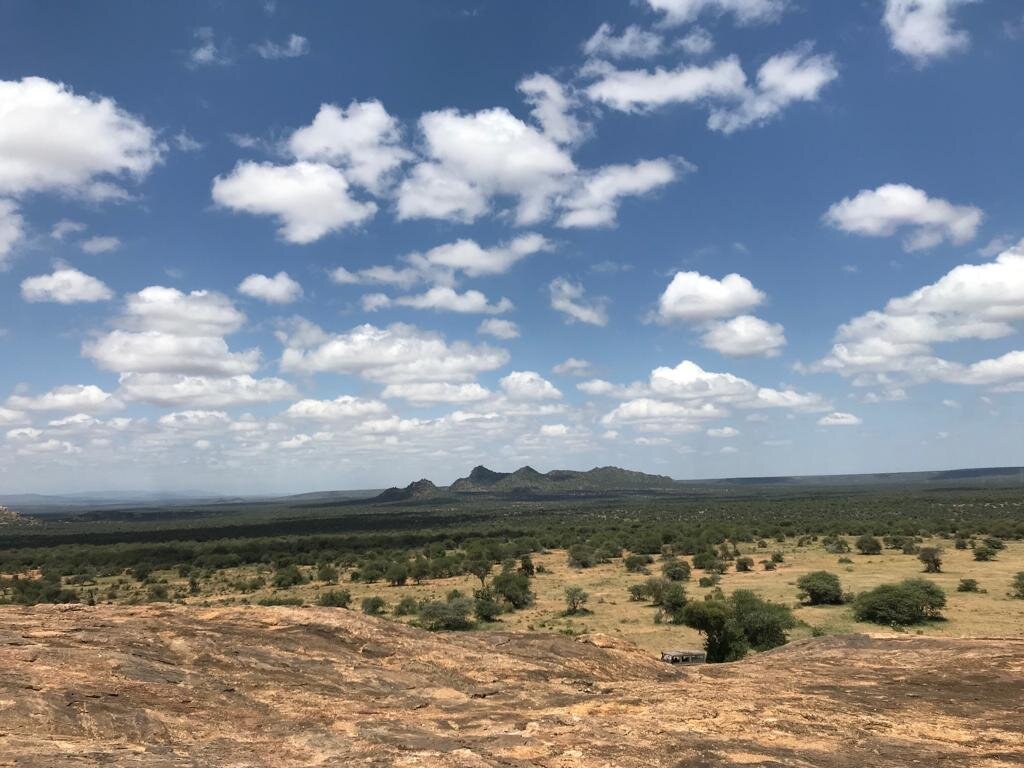 A view of the landscape at the Mpala Research Centre in Laikipia County, Kenya.