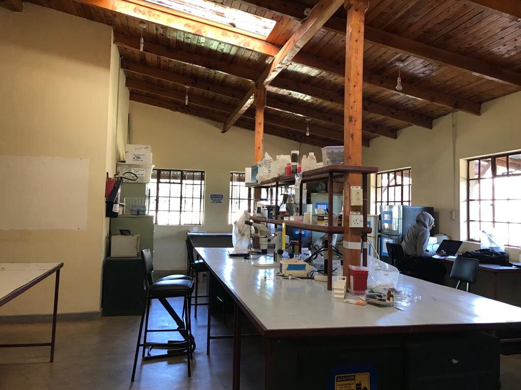 The interior of one of Mpala’s multiple labs.