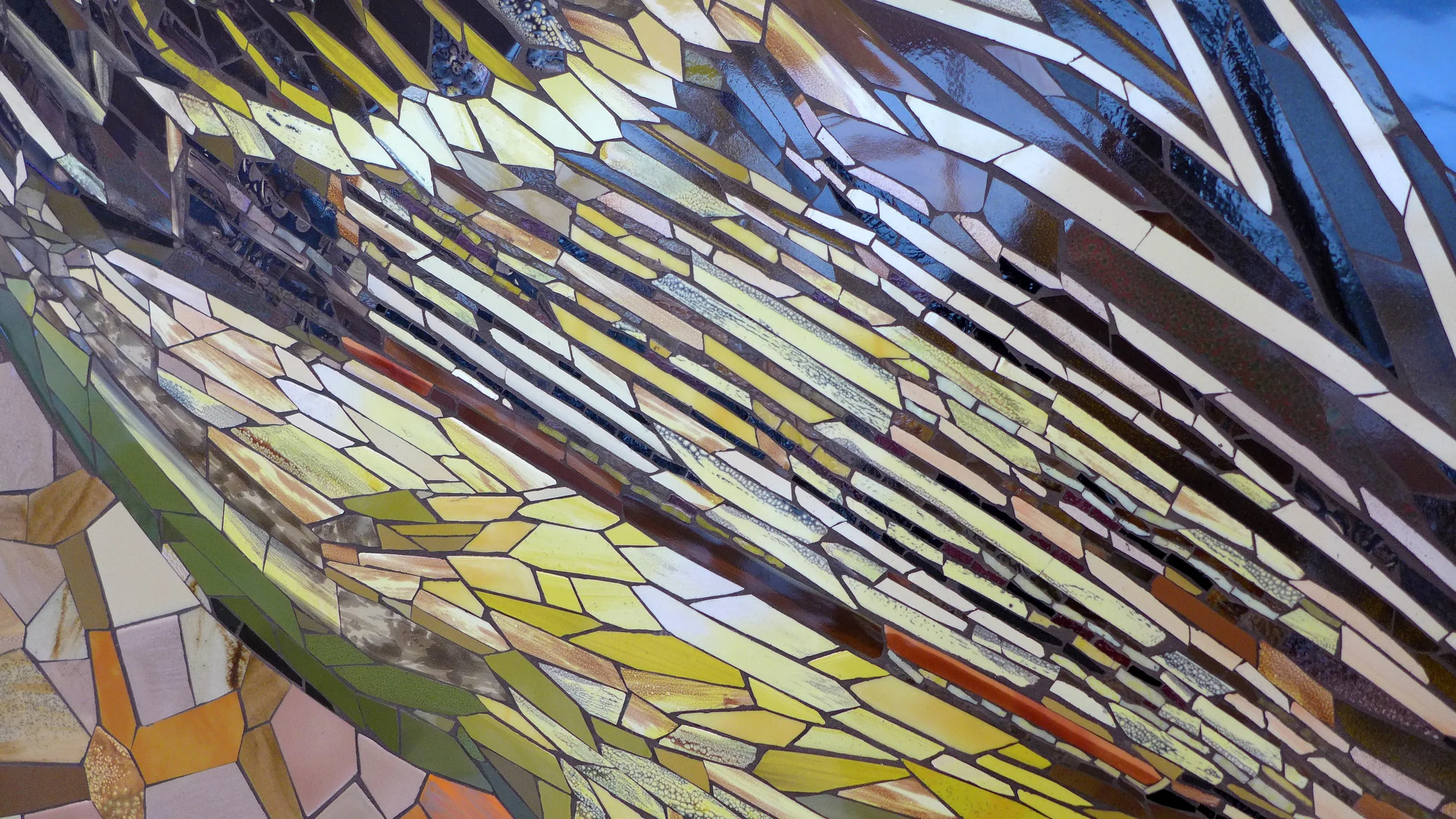 vireo feather detail.jpg
