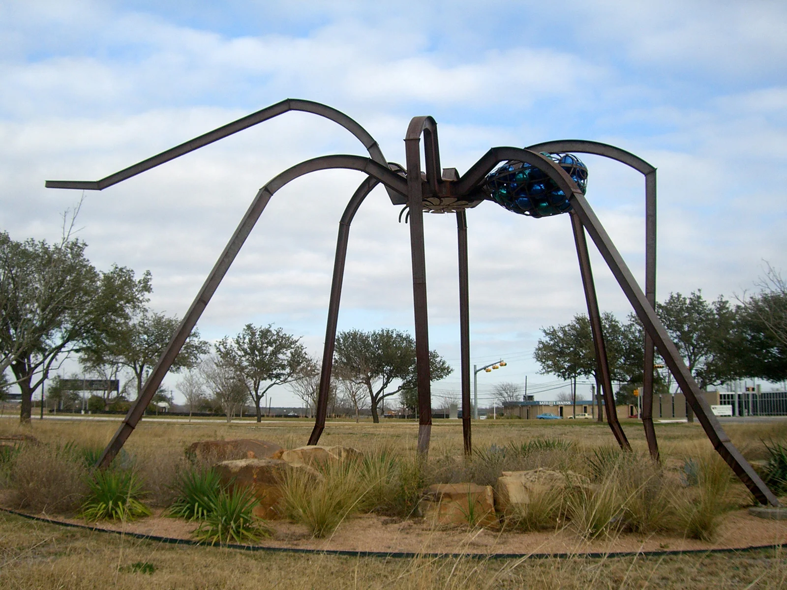 Spider Out.jpg