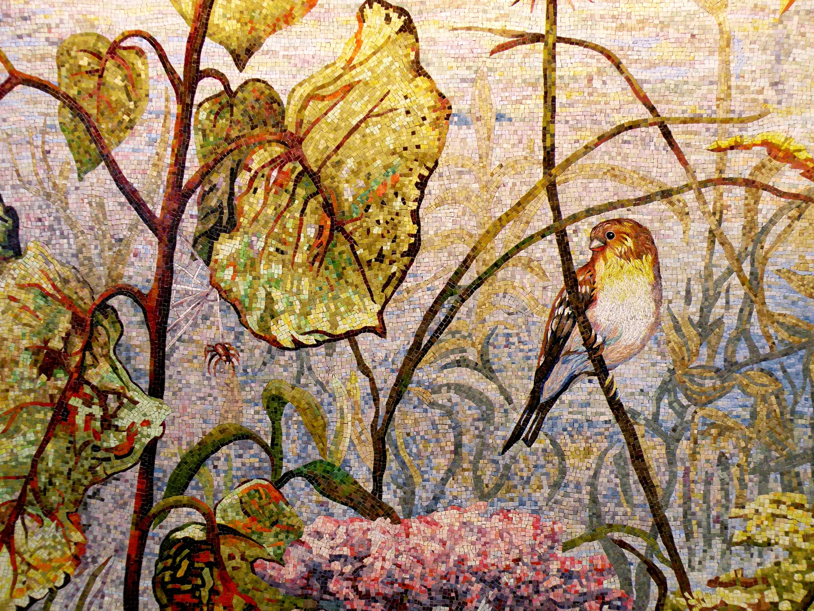 15-bird, spider.jpg