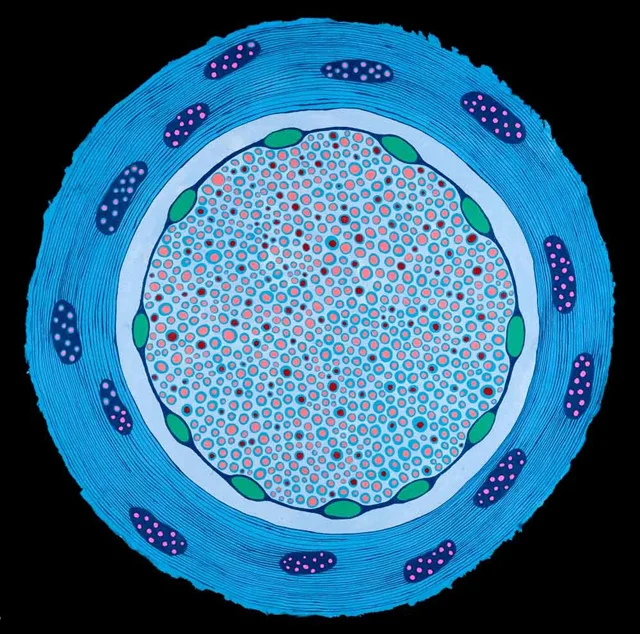 Membrane -2011