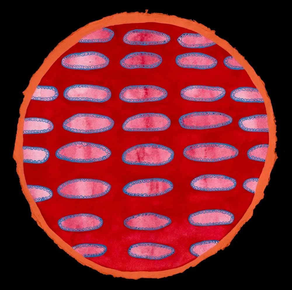 Femur Slice- 2011