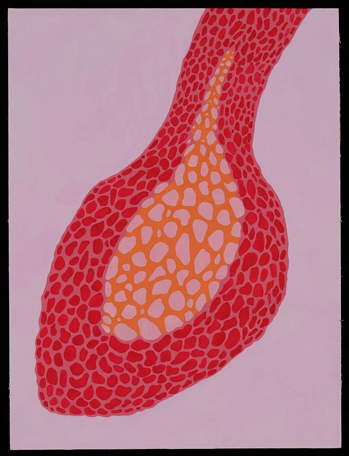 Follicle - 2009