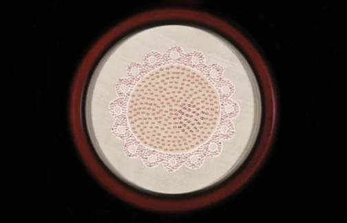 Ovum - 2004