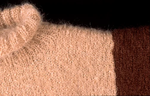 Best Friends (detail) - 2004