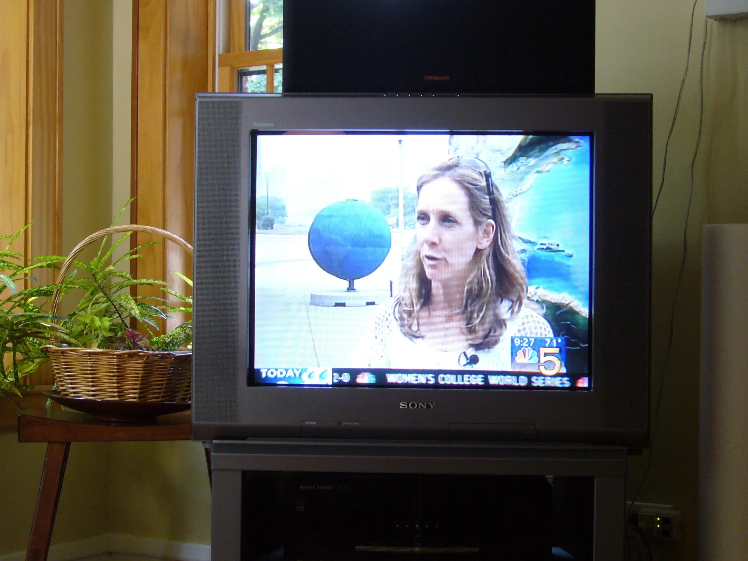 Cool Globes and the Media