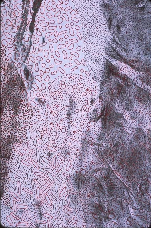 Stained (Detail) - 1997