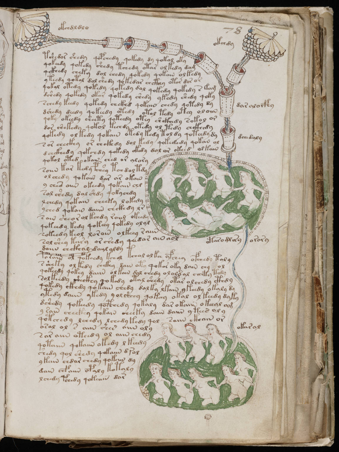 The Found Manuscript Of Wilfrid Voynich Historical Blindness