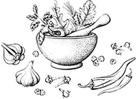 herbs.jpg