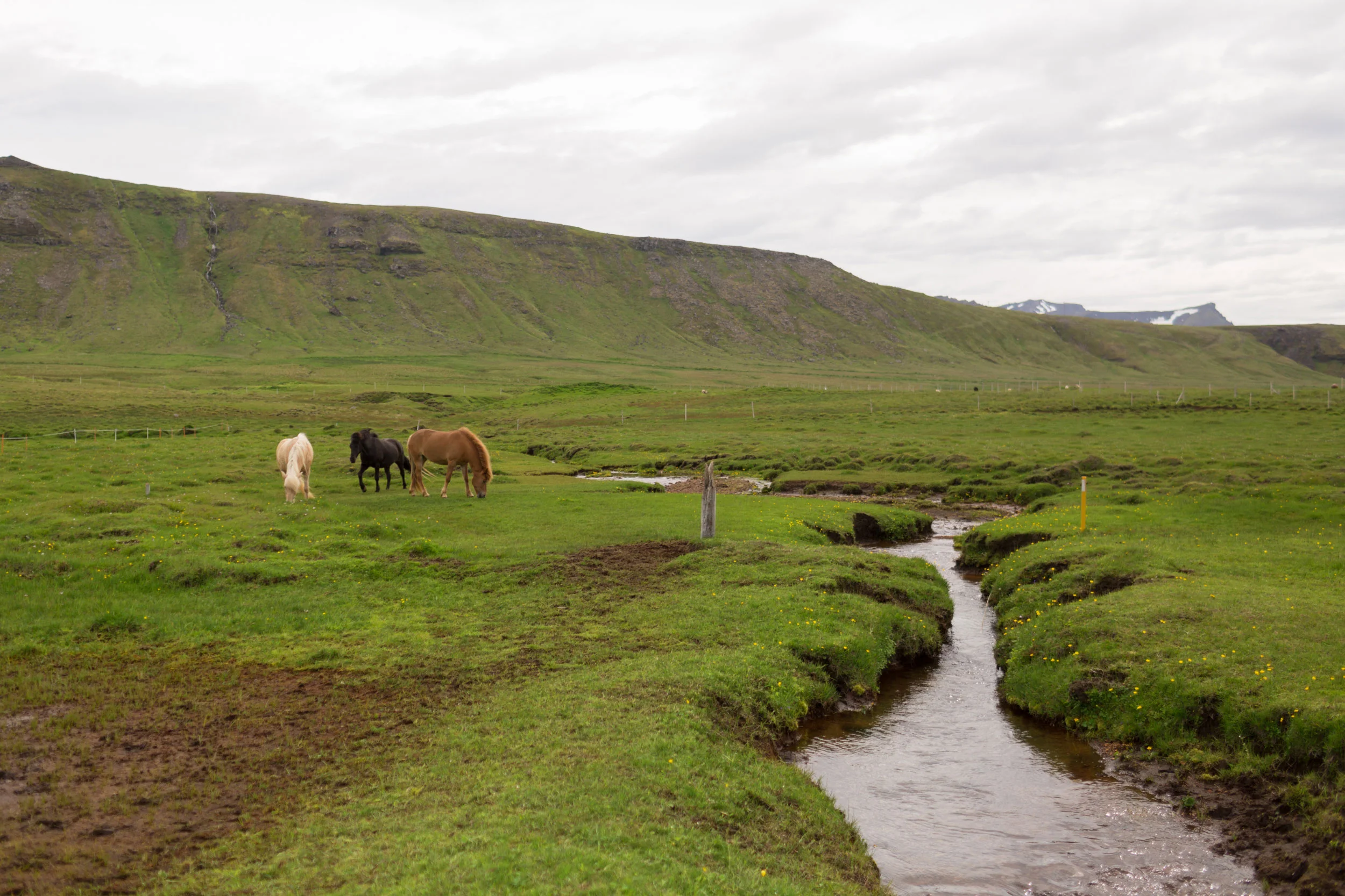 1441.1323.iceland.shewanders.suz-1981.jpg