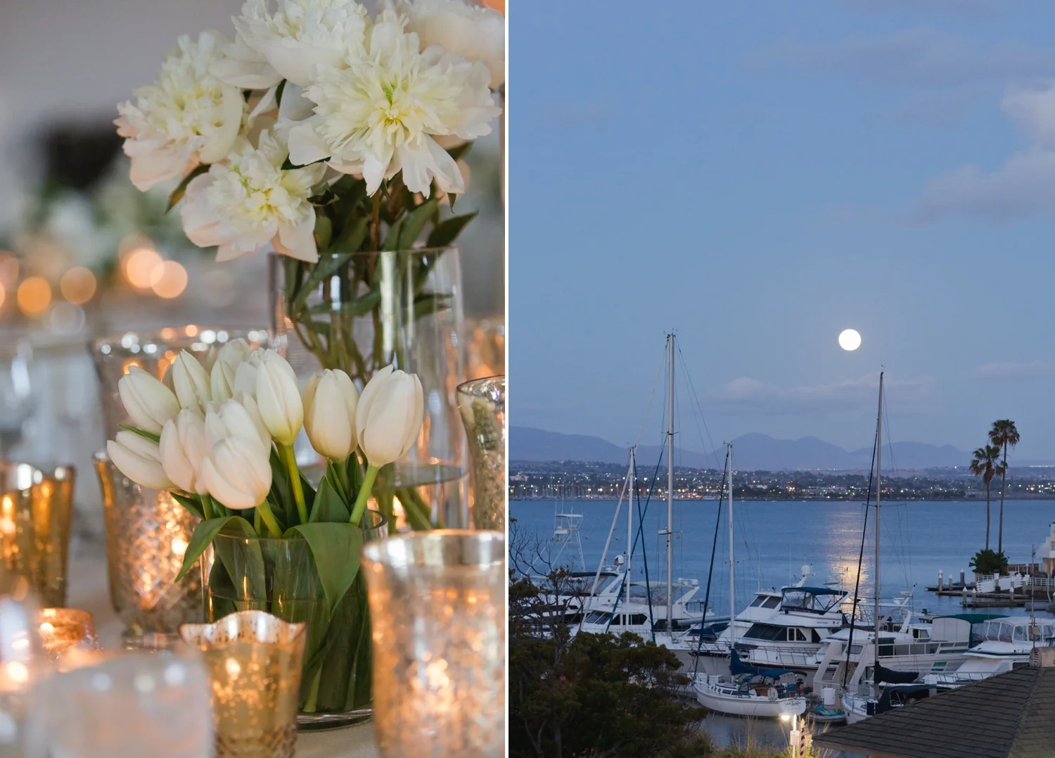 shewanders.coronado.wedding.photography.best.of239.jpg