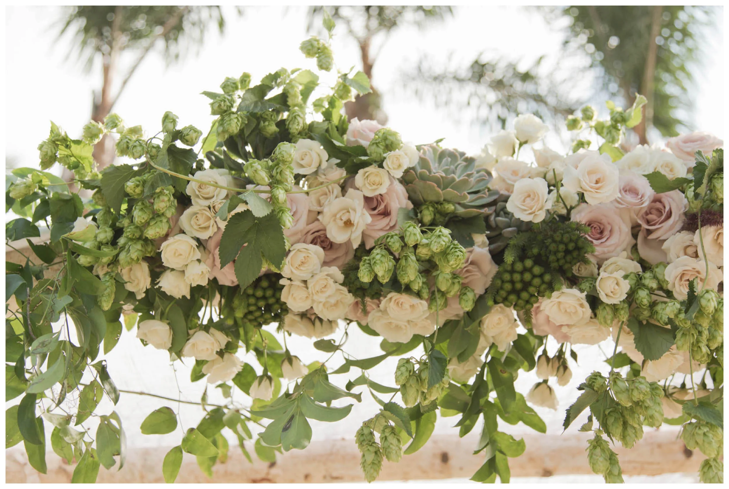 shewanders.wedding.photography.san.diego.rustic._1698.jpg