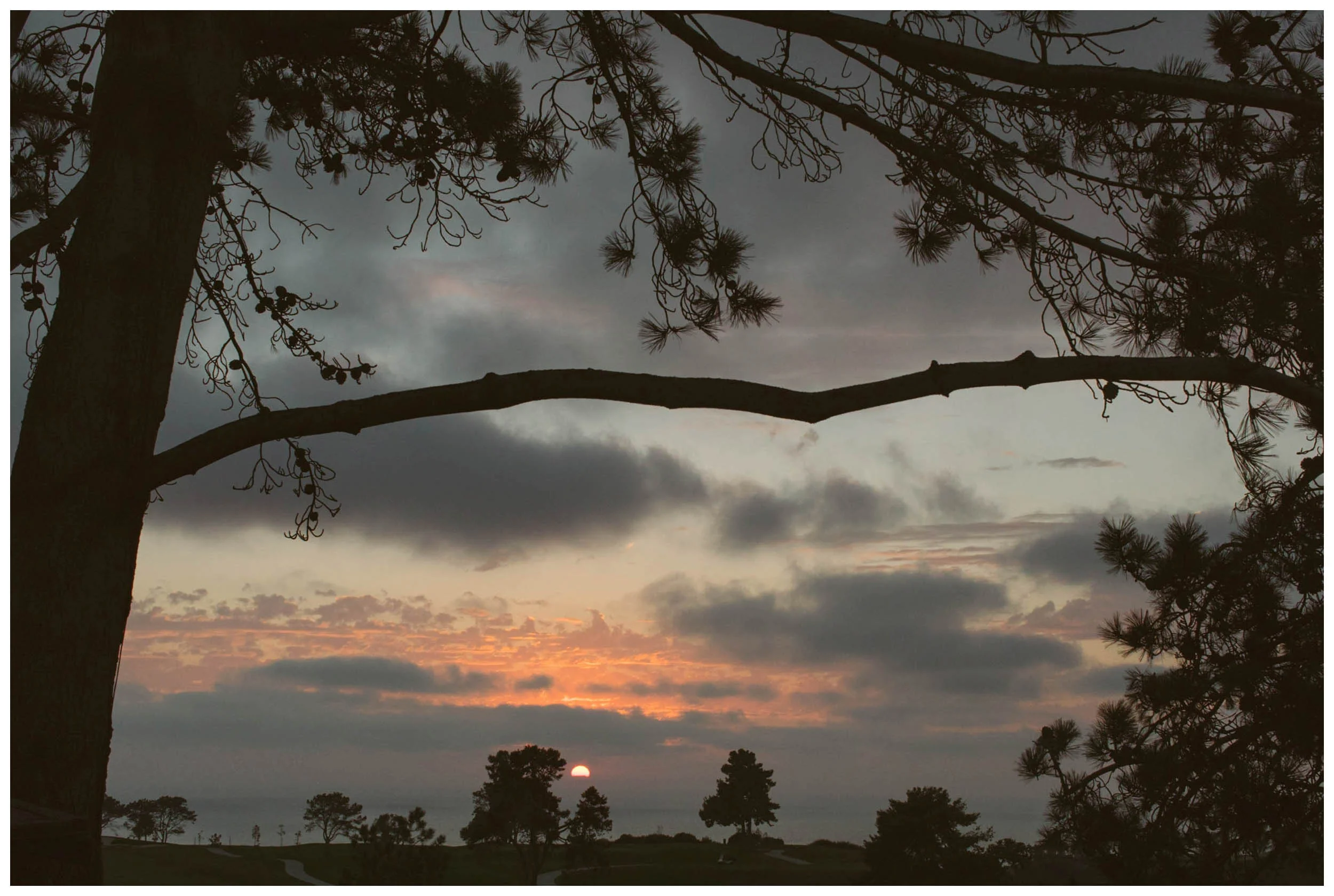 la.jolla.wedding.photography.shewanders-1092.jpg