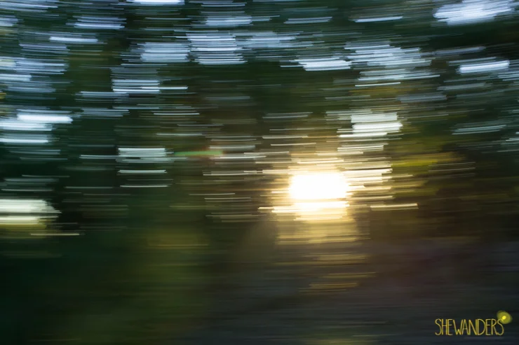 img-3.jpg