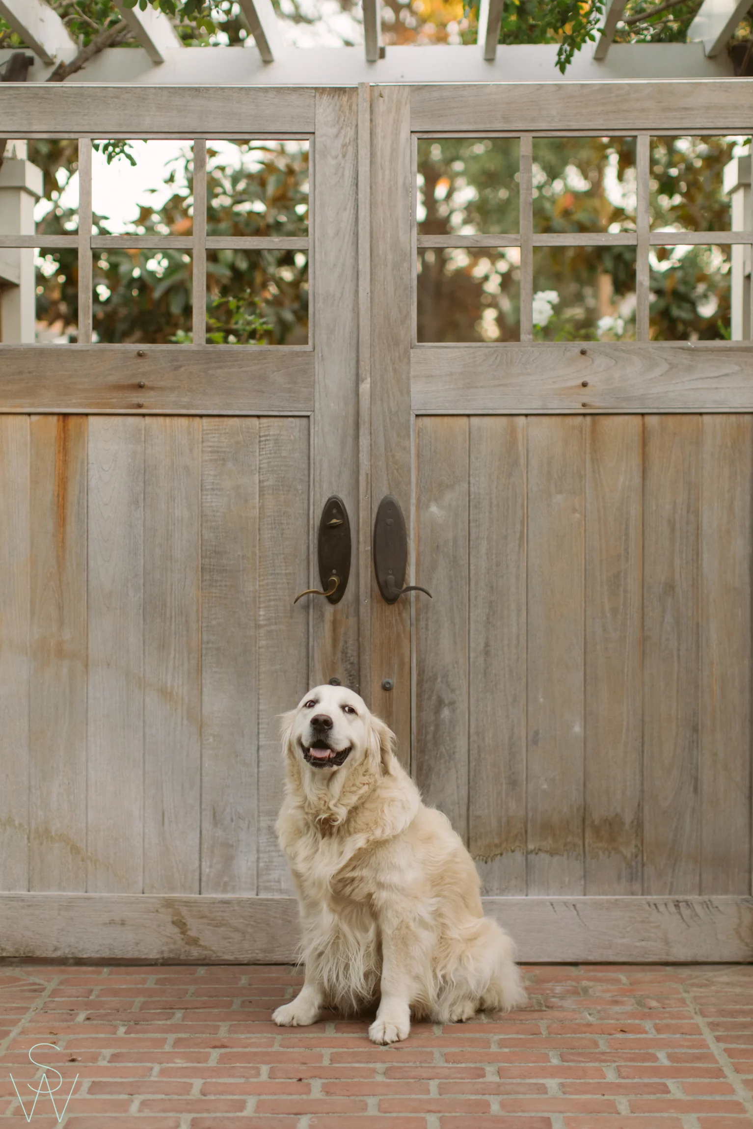 coronado.family.photography.shewanders-15.jpg