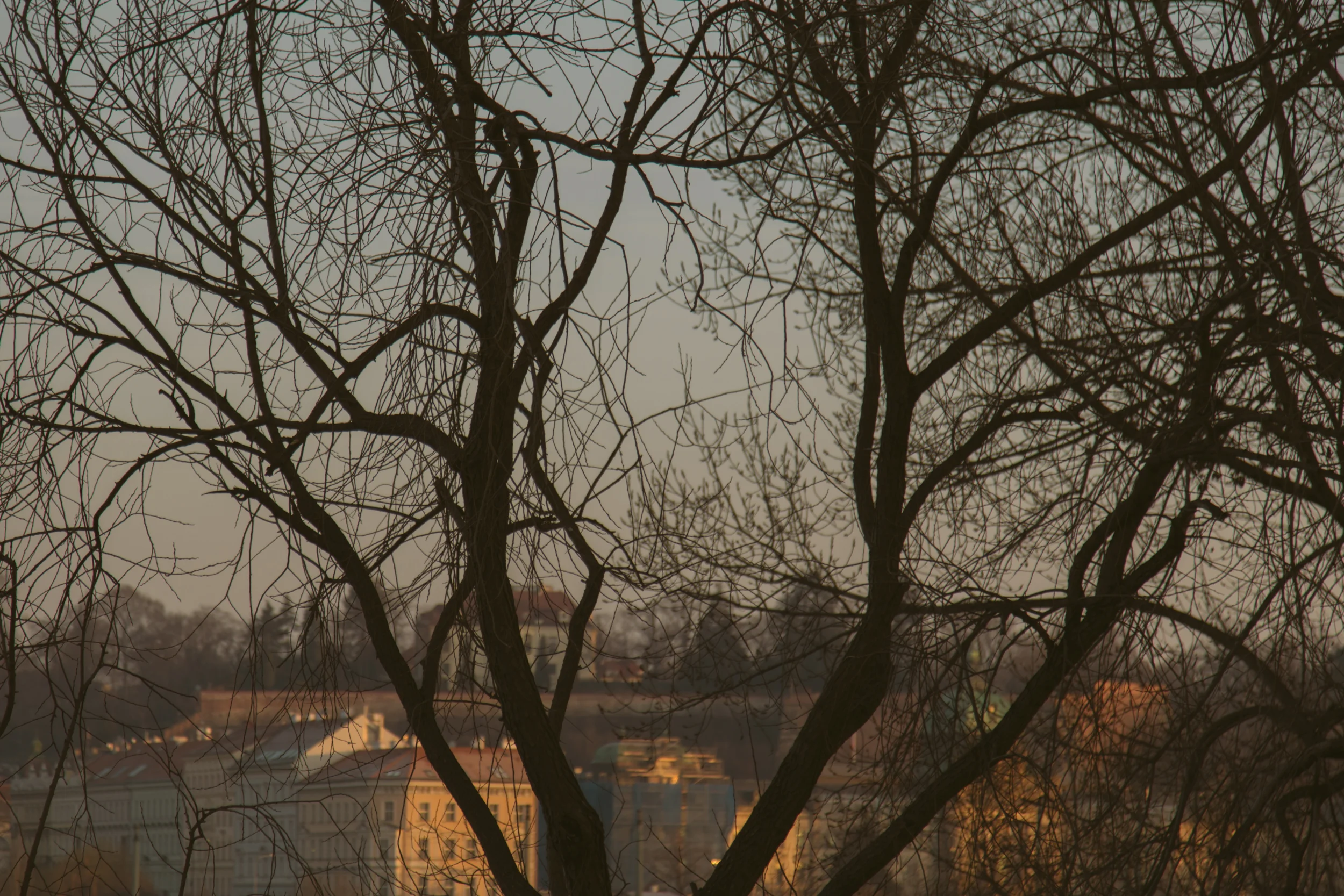 prague.shewanders.photography-14.jpg