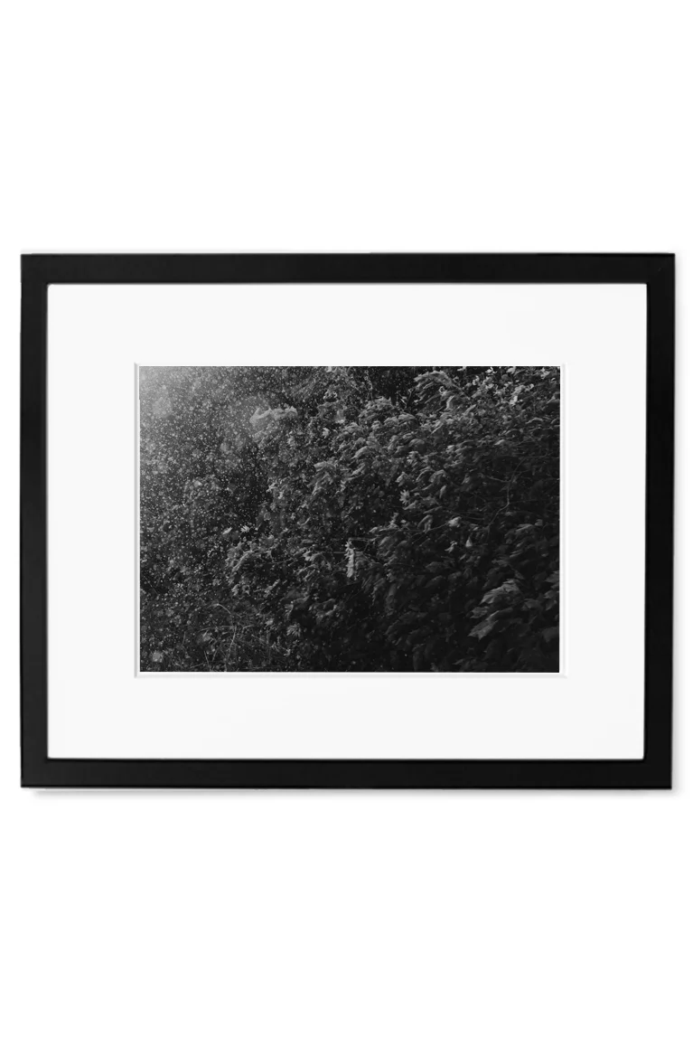 IfYou2 Black.jpg