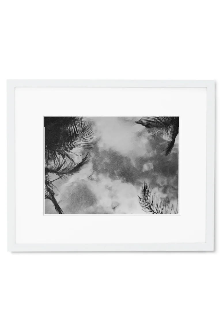 IfYou6 White.jpg