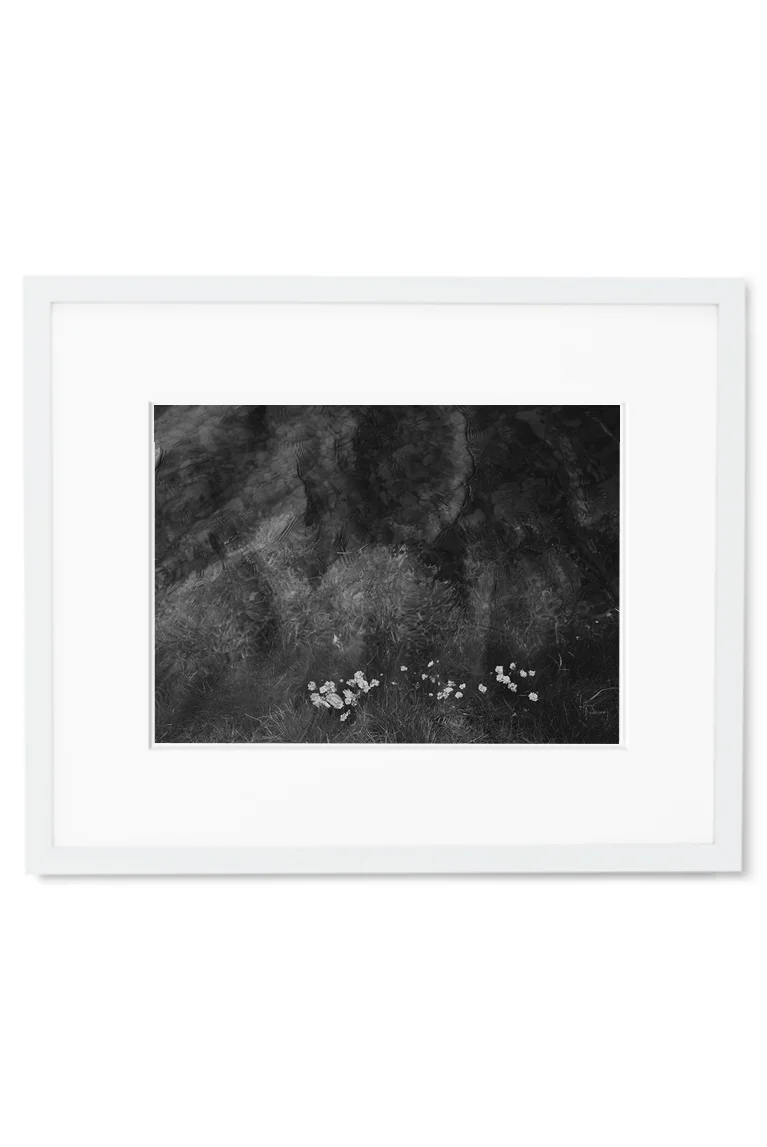 IfYou7 White.jpg