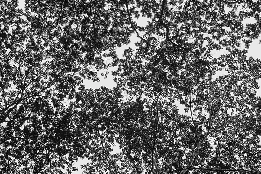 10.T6880x4544-70434.jpg