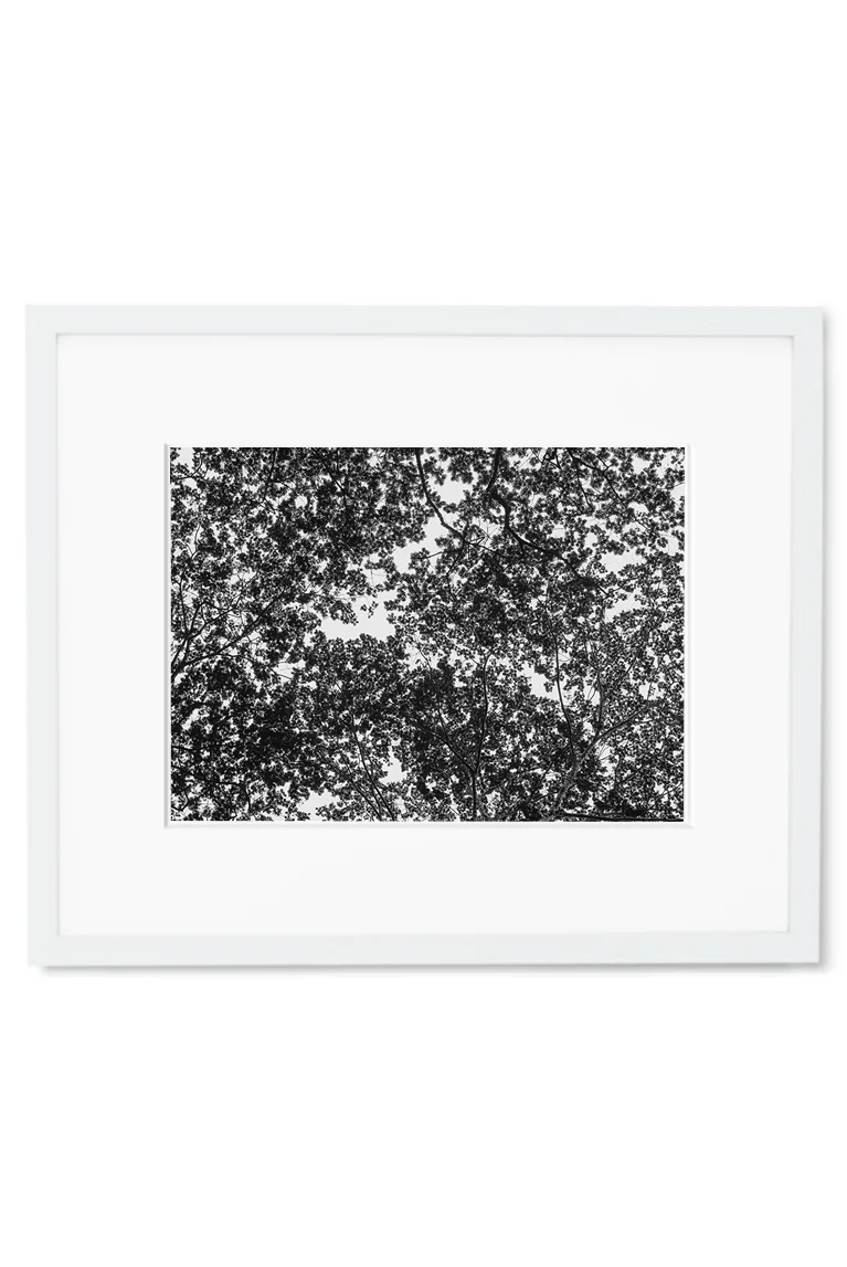 IfYou10 White.jpg