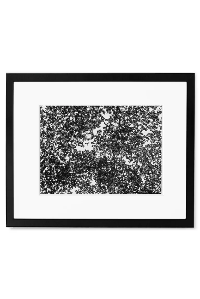 IfYou10 Black.jpg