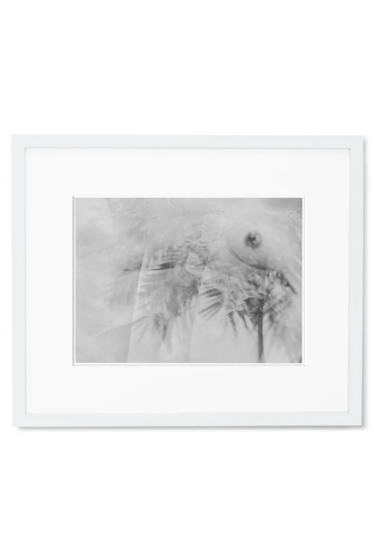 IfYou12 White.jpg